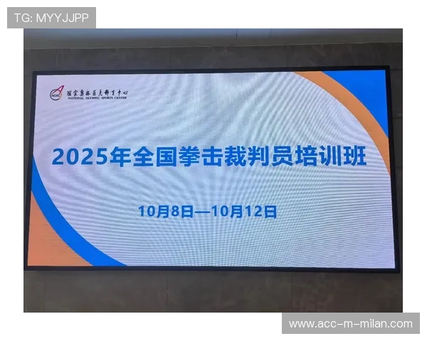 国际拳击裁判评分透明化平台第三方监督年中审计报告，国际拳击比赛